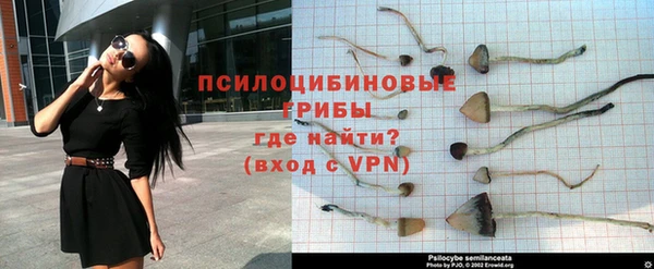 герыч Верхний Тагил
