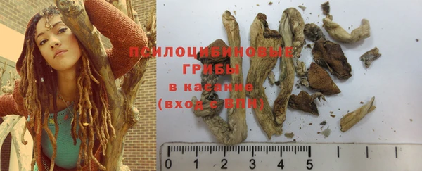 молекула духа Верея