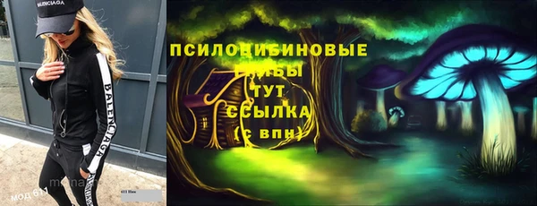 герыч Верхний Тагил