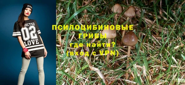 герыч Верхний Тагил