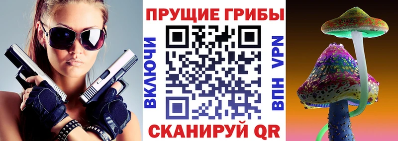 Псилоцибиновые грибы GOLDEN TEACHER Вилючинск